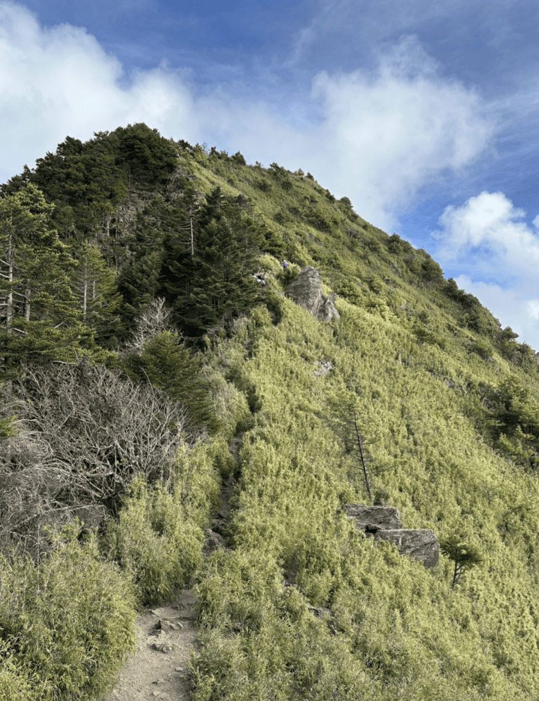 郡大山