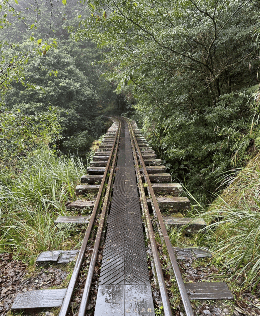 阿里山眠月線